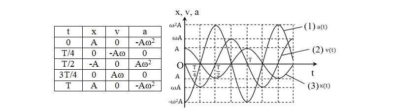 bai-tap-do-thi-vat-ly-12-04