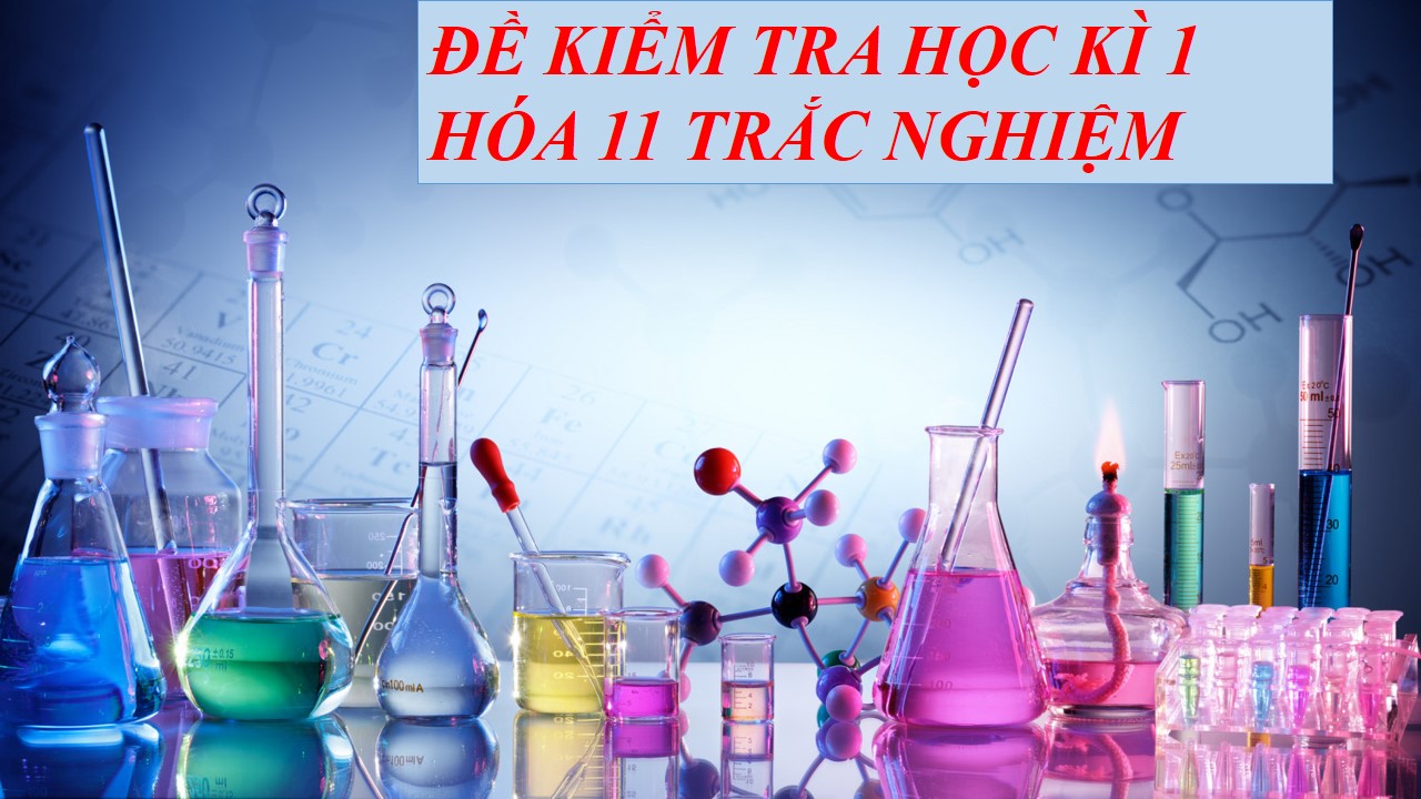 de-kiem-tra-hoc-ki-1-11-trac-nghiem-1