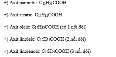 Axit Béo Thường Gặp