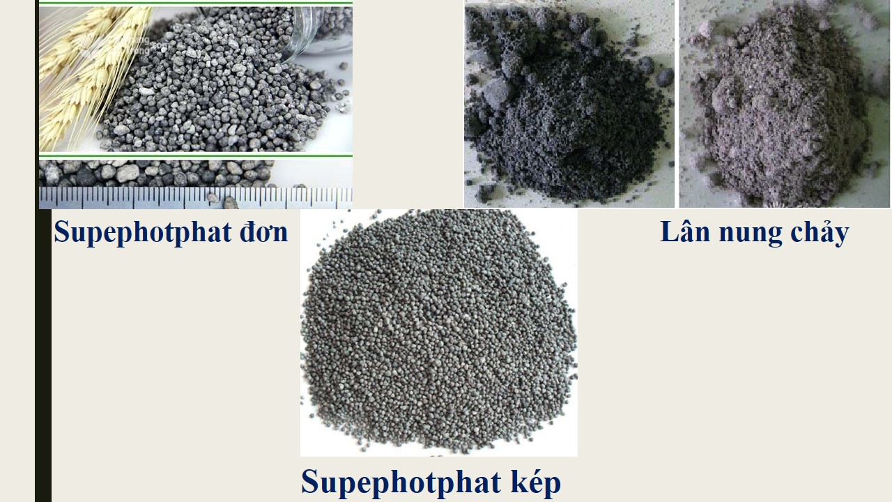 phan-bon-hoa-hoc-lop-11-3