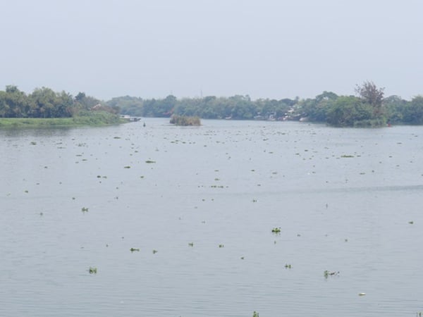 tac-pham-trang-giang