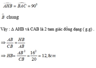 tam-giac-dong-dang-10