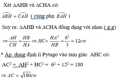 tam-giac-dong-dang-11