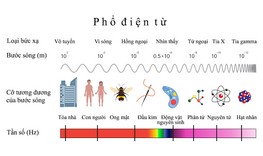 vat-ly-pho-thong-3